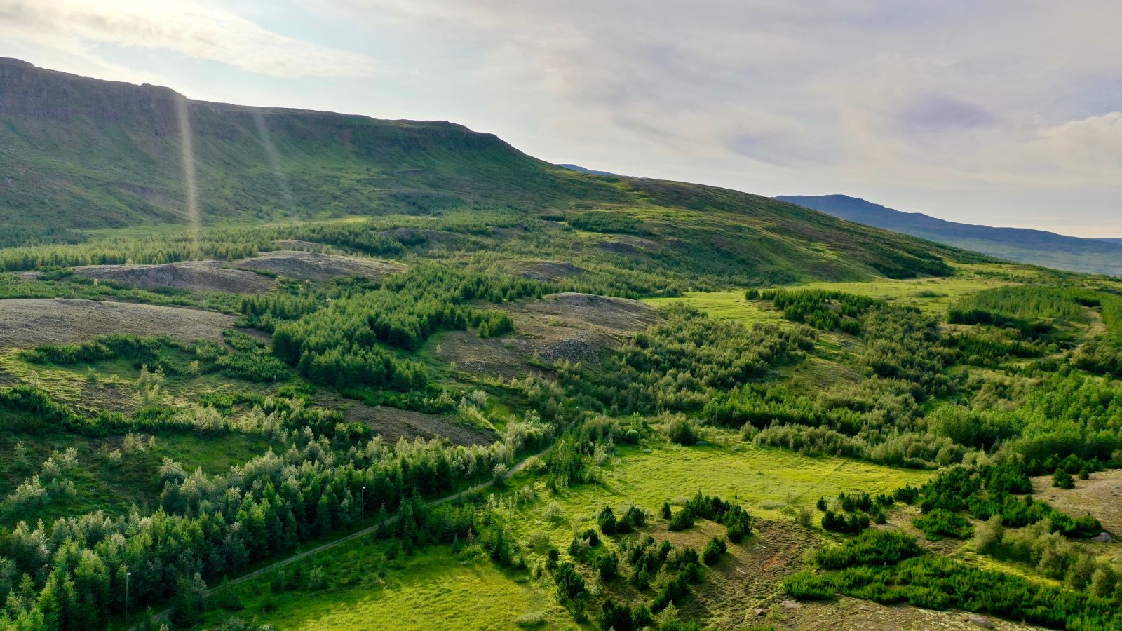 Aerial view of the Kjarnaskógur Forest in Iceland.