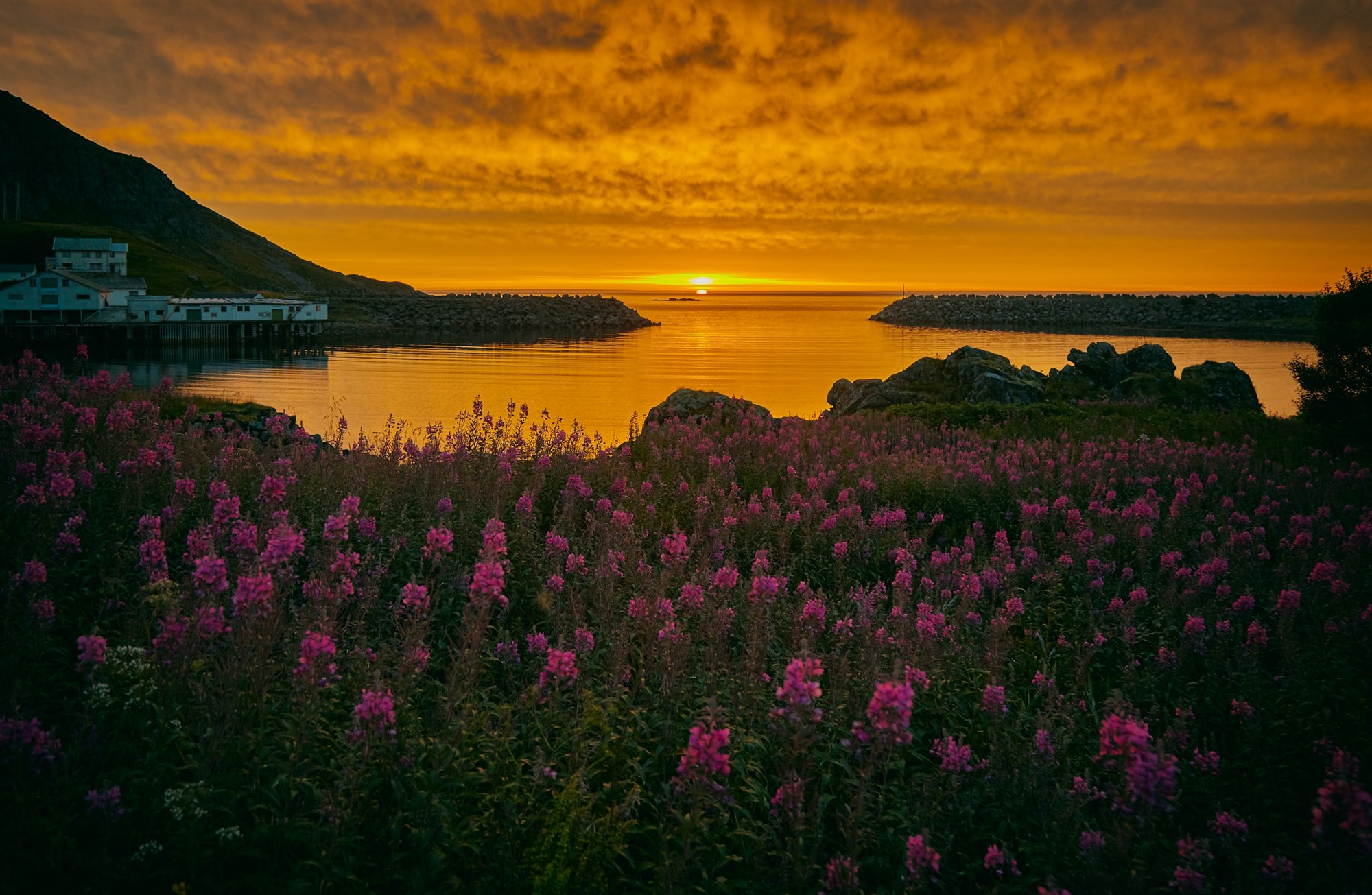 The Midnight Sun in Iceland